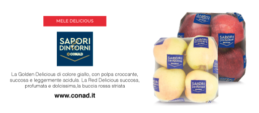 Crociera sul Brenta tra Ville Venete