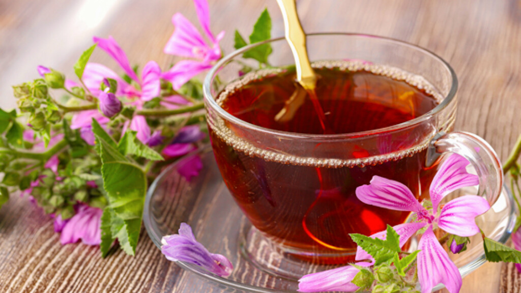 Infuso alla Malva - Infuso-alla-malva
