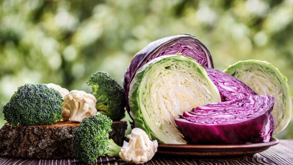 Cavolo Pak Choi con sesamo e peperoncino - Cavolo Pak choi con sesamo e peperoncino