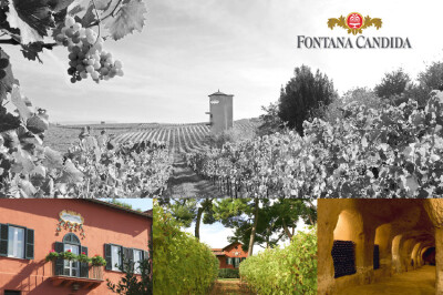 Cantina Fontana Candida
