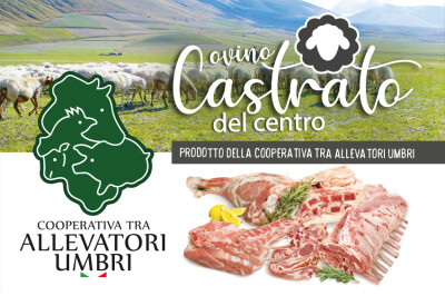 Ovino Castrato del Centro Italia - Allevatori Umrbi Castrato Ovino