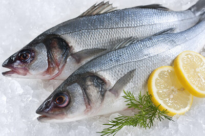 Spigola (o Branzino) - spigola