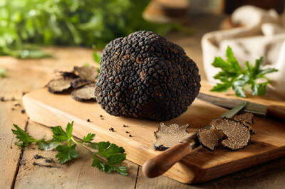 Tartufo - tartufo