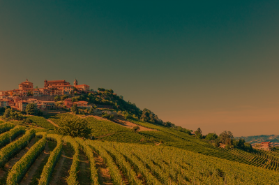I 7 Sentieri di La Morra: tra grandi vigne e panorami mozzafiato