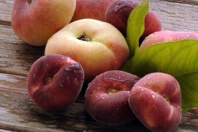 Pesca Tabacchiera - Pesca Tabacchiera