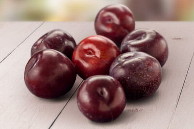 Susina Angeleno - Susina Angeleno