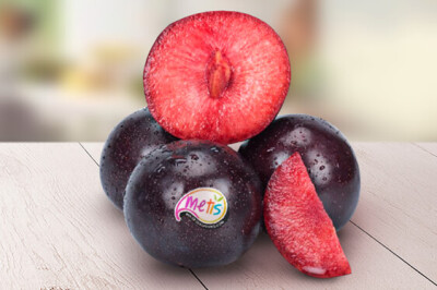 Susina Metis - Susina Metis