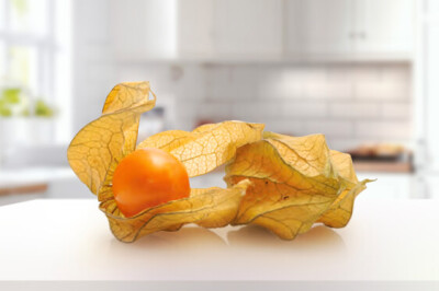 Physalis - Physalis