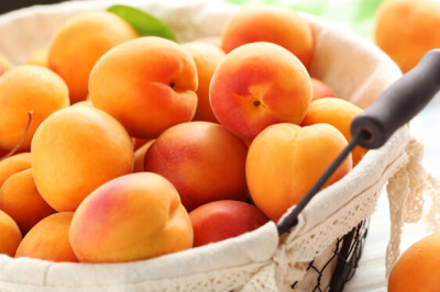 Albicocca - Albicocca