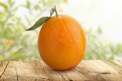 Arancia Ovale - Arancia Ovale