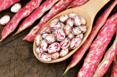 Fagioli Borlotti - borlotti