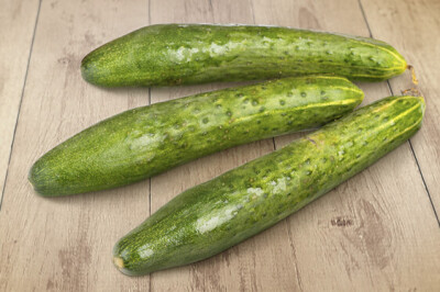 Cetriolo Lungo - Cetriolo Lungo