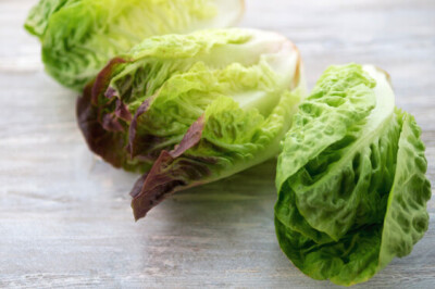 Lattuga Romana Costa Rossa - Lattuga Romana Costa Rossa