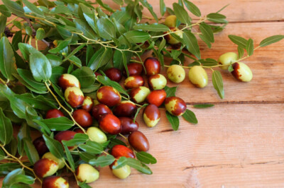 Giuggiola - Giuggiole