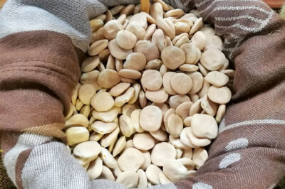 Lupini Secchi - lupini-secchi