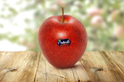 Mela Evelina - Mela Evelina