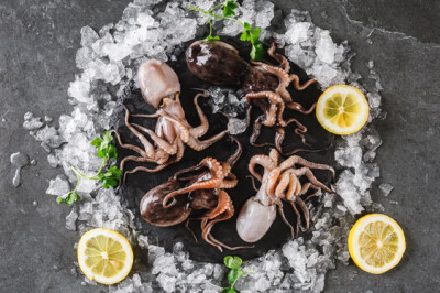 Moscardini - moscardini