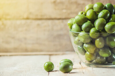 Oliva generica - Oliva generica