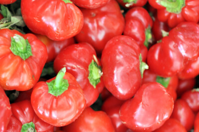 Papaccella Napoletana Riccia - Papaccella Napoletana