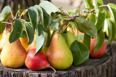 Pera Williams - pere-williams