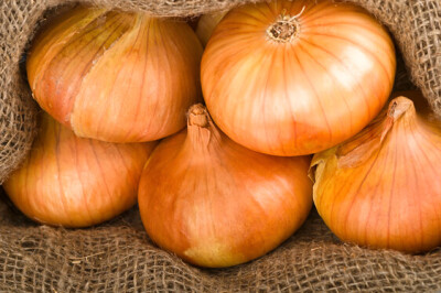 Cipolla Ramata di Montoro - Cipolla Ramata di Montoro