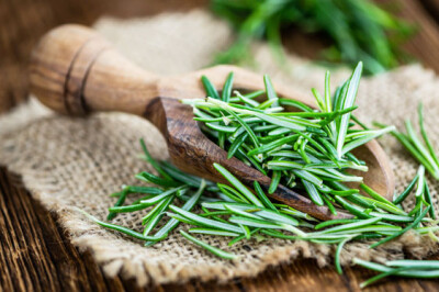 Rosmarino - rosmarino