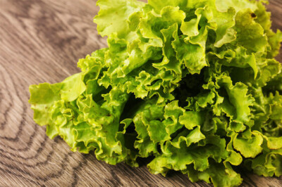 Insalta Scarola - Insalta Scarola