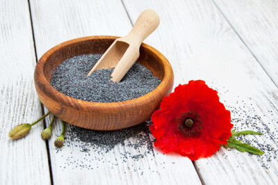 Semi di Papavero - semi-papavero