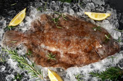 Sogliola - sogliola-scelte-per-te-pescheria