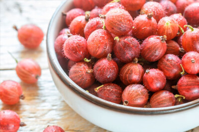 Uva Spina - uva-spina