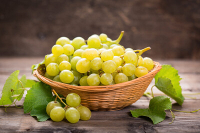 Uva Bianca Vittoria - Uva Bianca Vittoria